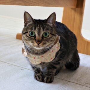 画像に alt 属性が指定されていません。ファイル名: TOP%E7%94%BB%E5%83%8F-300x300.jpg